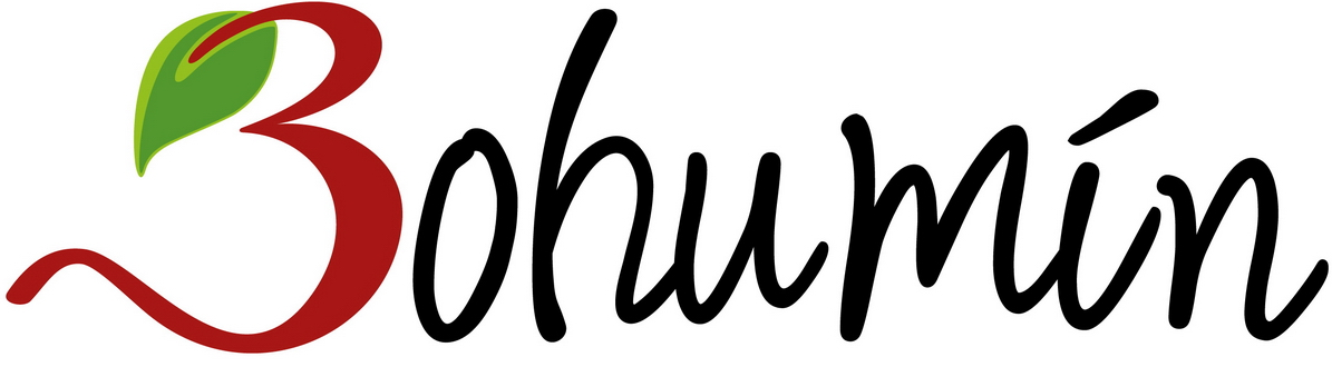 Bohumin_logo